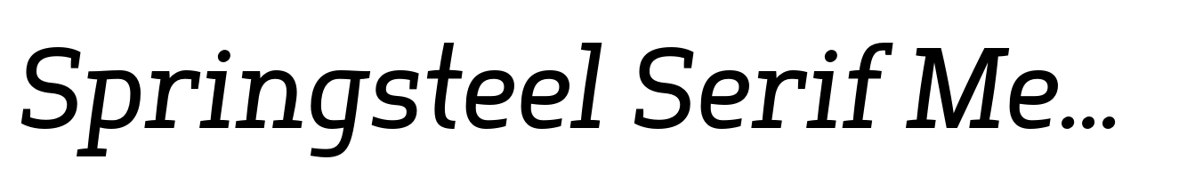 Springsteel Serif Medium Italic